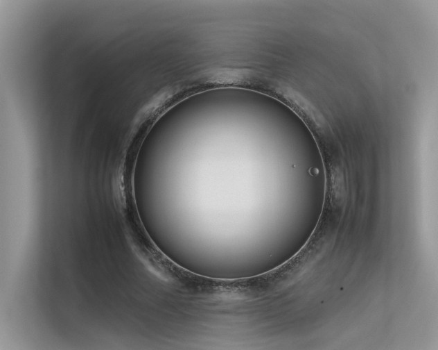 X0000113370682200909151400