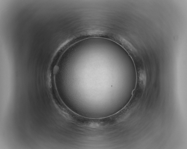 X0000113370684200909151400