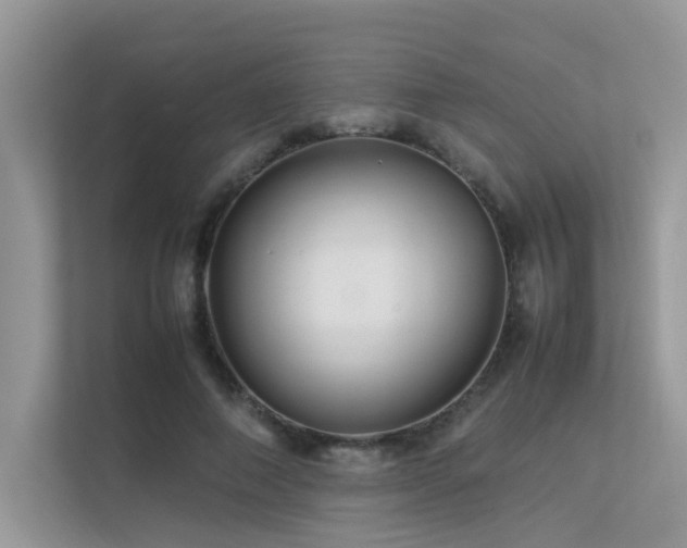 X0000113370690200909151400
