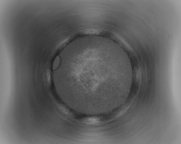 X0000113370692200909151400