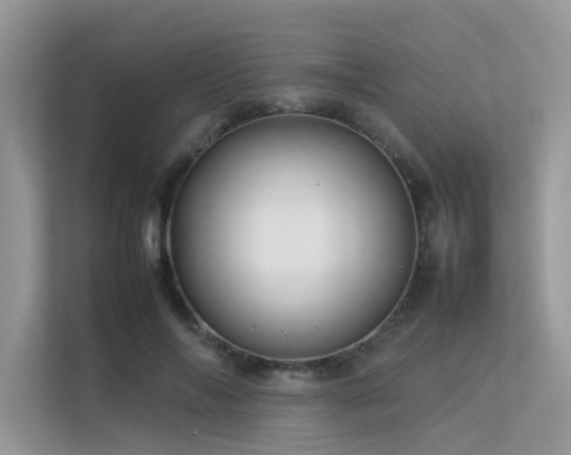X0000113370694200909151400