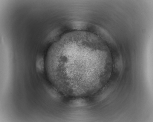 X0000113370696200909151400