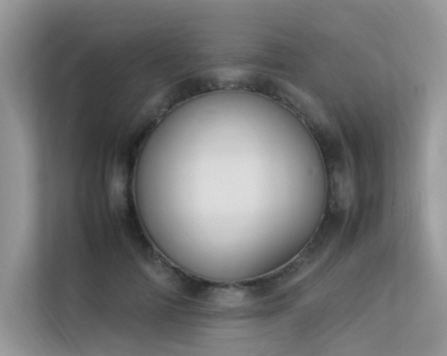 X0000113370698200909151400