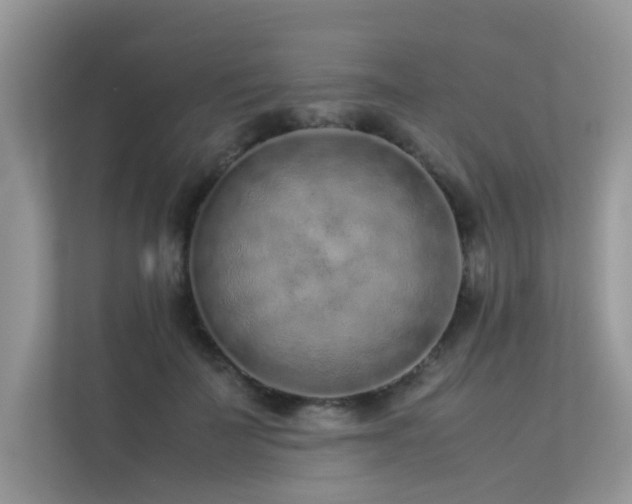 X0000113370699200909151400