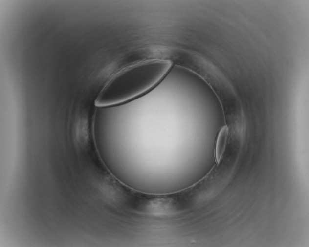 X0000113370700200909151400