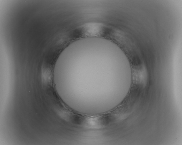 X0000113370701200909151400