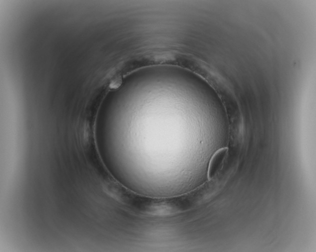 X0000113370704200909151400
