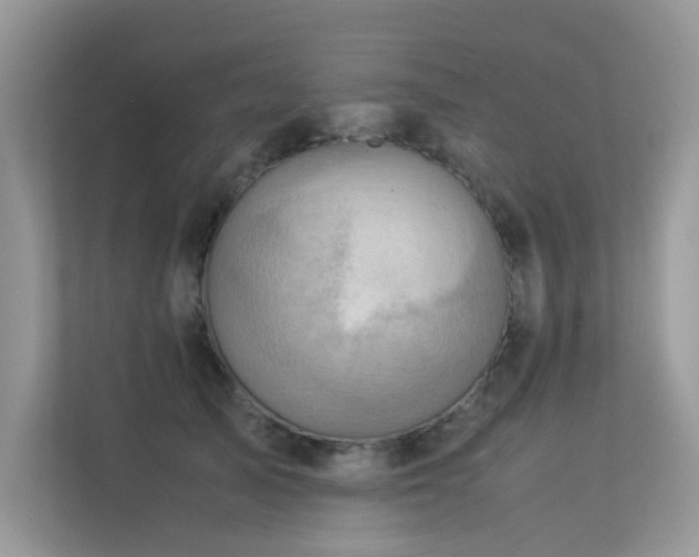 X0000113370705200909151400