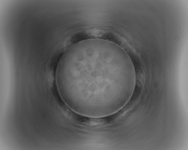 X0000113370707200909151400