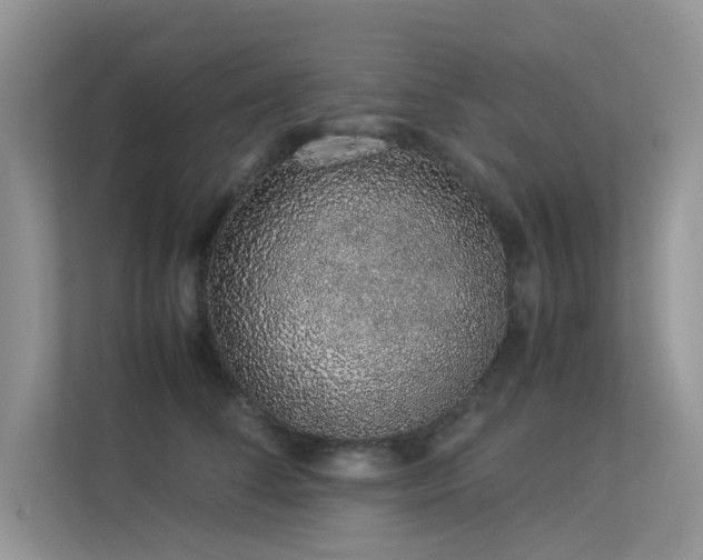 X0000113370708200909151400