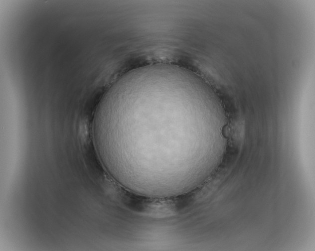 X0000113370709200909151400