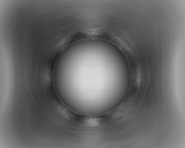 X0000113370710200909151400