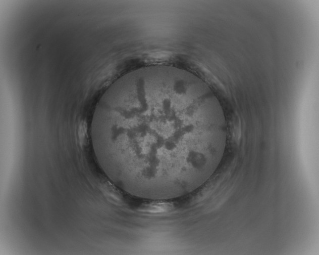X0000113370711200909151400