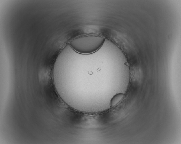 X0000113370713200909151400