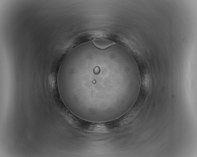 X0000113370715200909151400