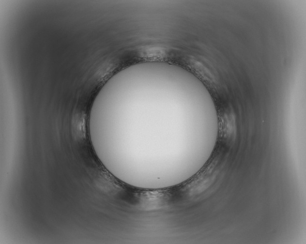 X0000113370717200909151359