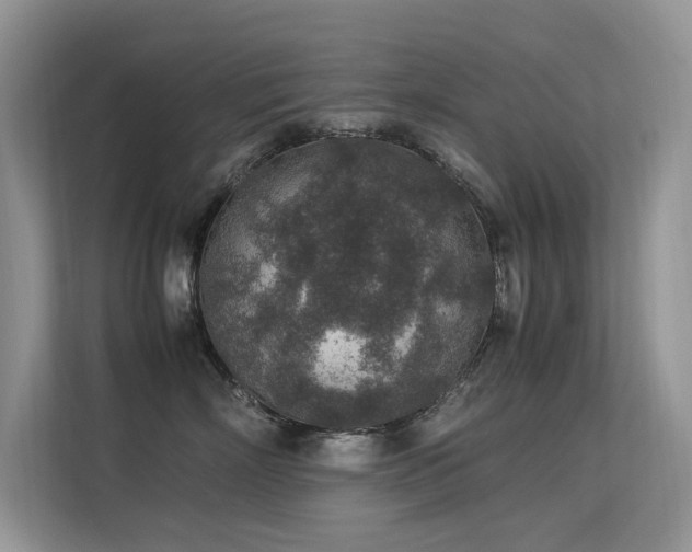 X0000113370718200909151359