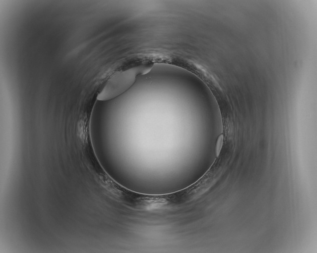 X0000113370719200909151359