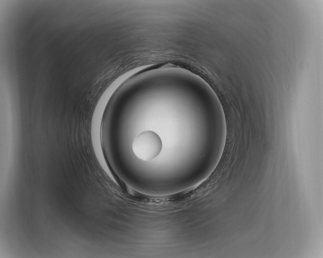 X0000113370720200909151359