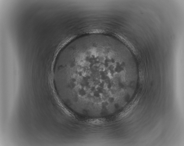 X0000113370721200909151359