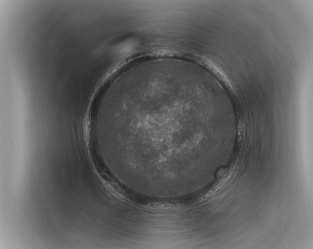 X0000113370722200909151359