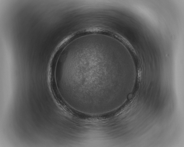 X0000113370724200909151359
