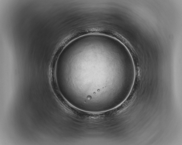 X0000113370725200909151359