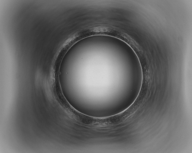 X0000113370727200909151359