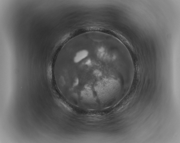 X0000113370729200909151359