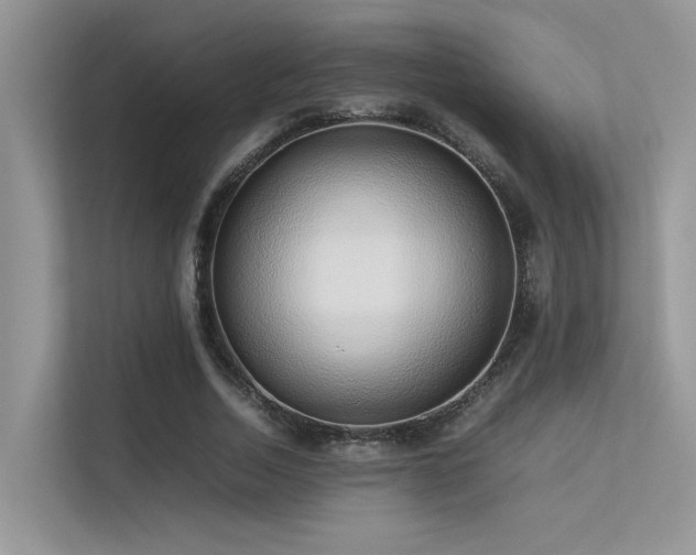 X0000113370730200909151359