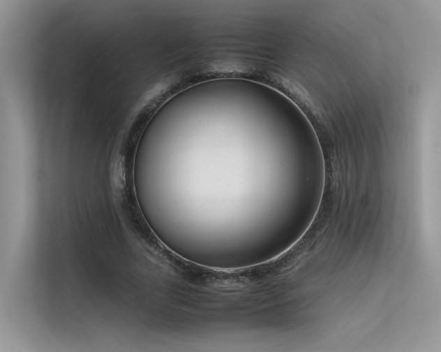 X0000113370731200909151359