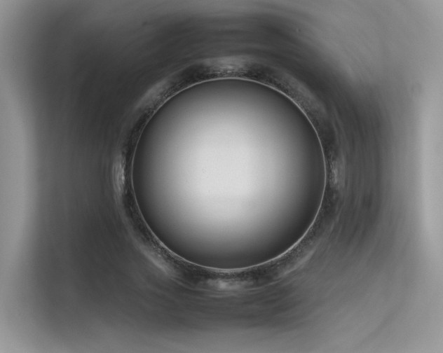 X0000113370733200909151359