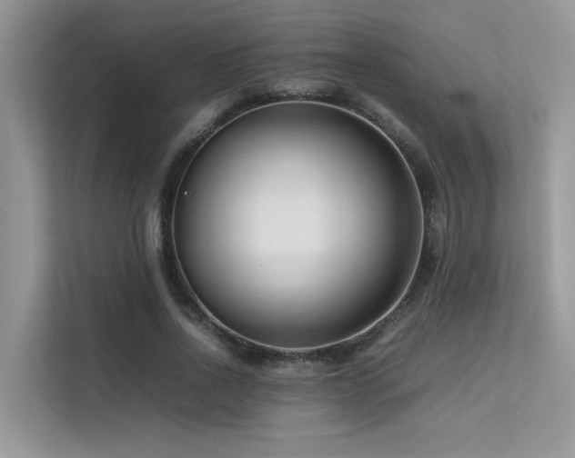 X0000113370734200909151359