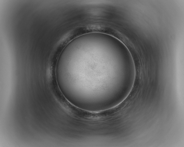 X0000113370735200909151359