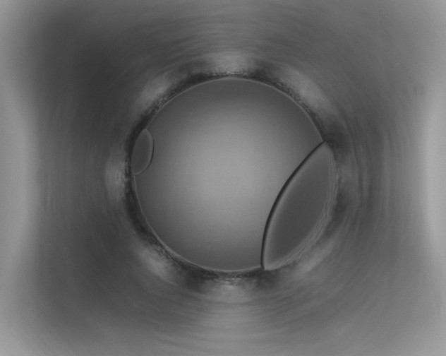 X0000113370736200909151359