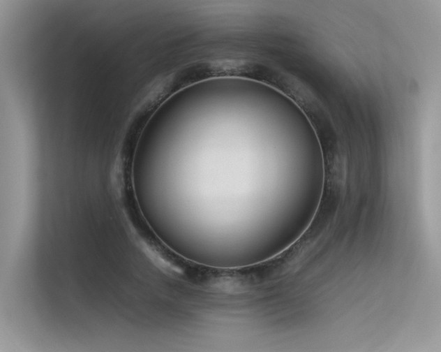 X0000113370738200909151359