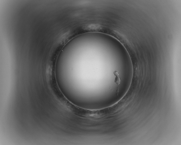 X0000113370739200909151359