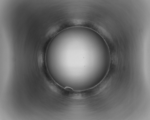 X0000113370740200909151359