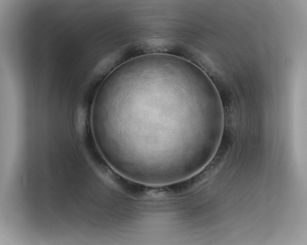 X0000113370742200909151359