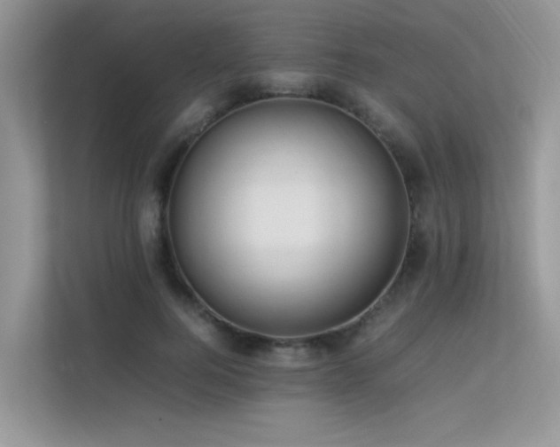 X0000113370744200909151359