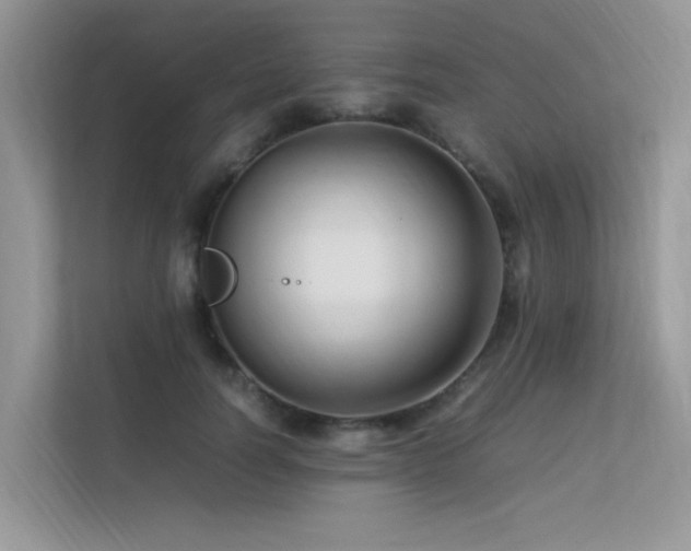 X0000113370746200909151359