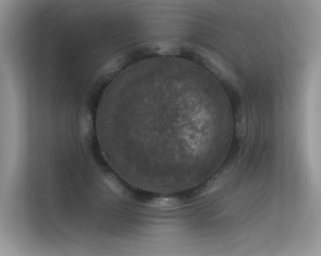 X0000113370748200909151359