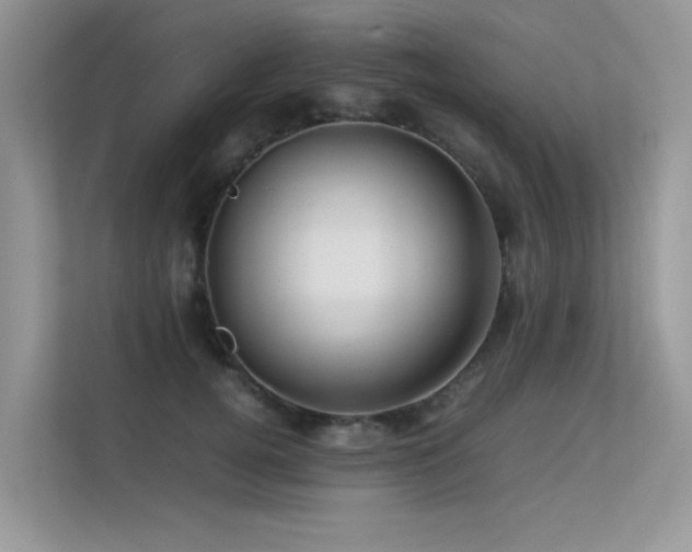 X0000113370752200909151359
