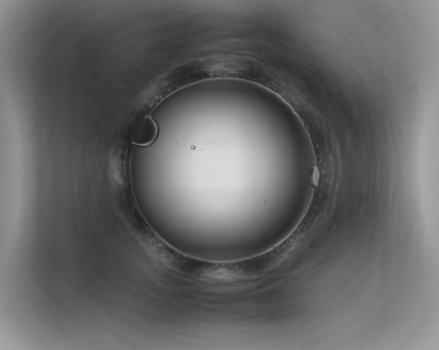 X0000113370755200909151359