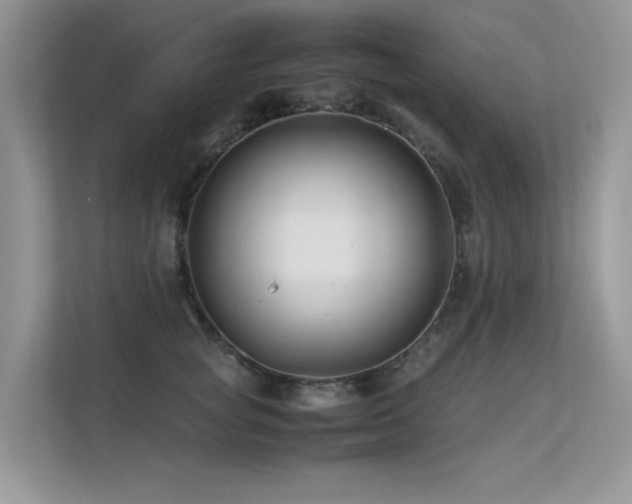 X0000113370757200909151359