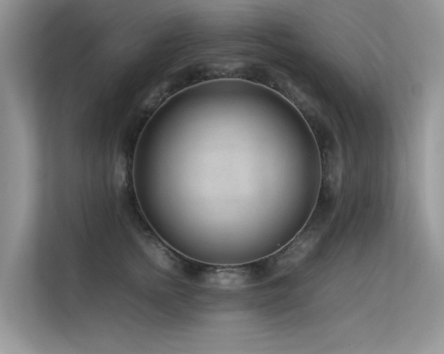 X0000113370758200909151359