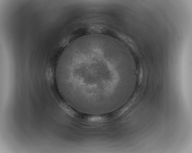 X0000113370759200909151359