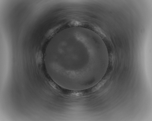 X0000113370760200909151359