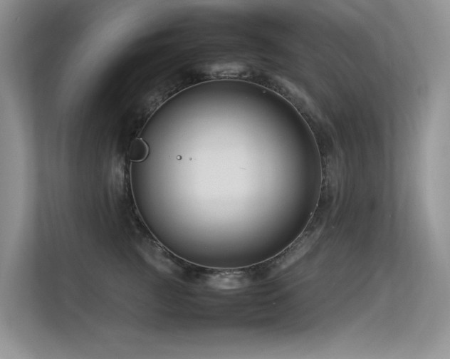 X0000113370761200909151359