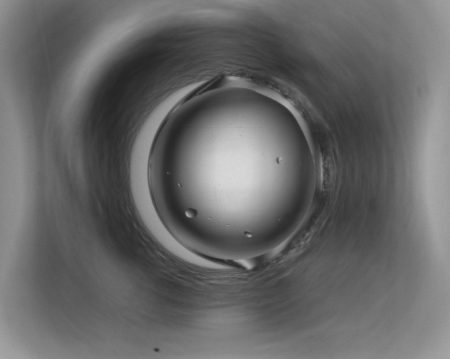 X0000113370762200909151359